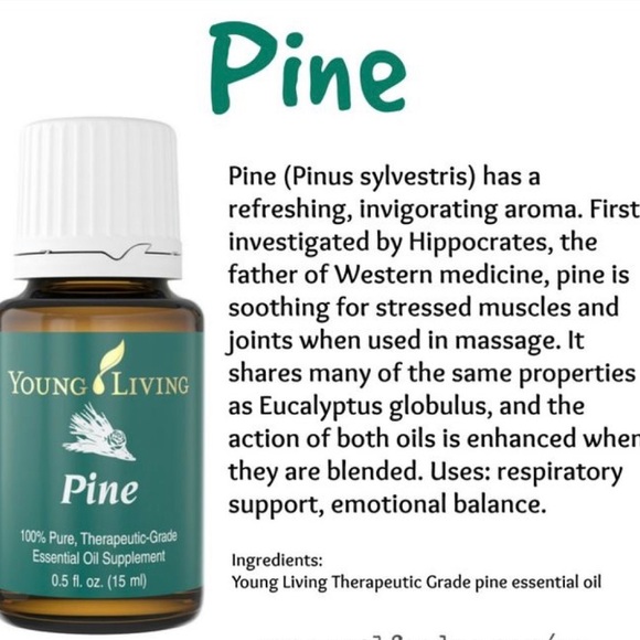 Young Living PINE Essential Oil | 15ml - Picture 3 of 3